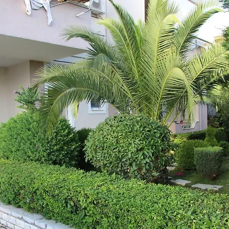 Mateo * Σαράντα