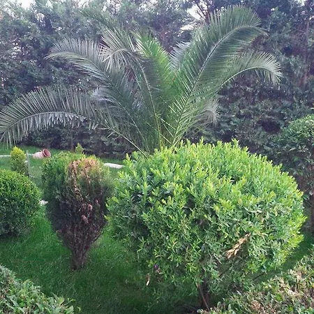 Mateo Διαμέρισμα *